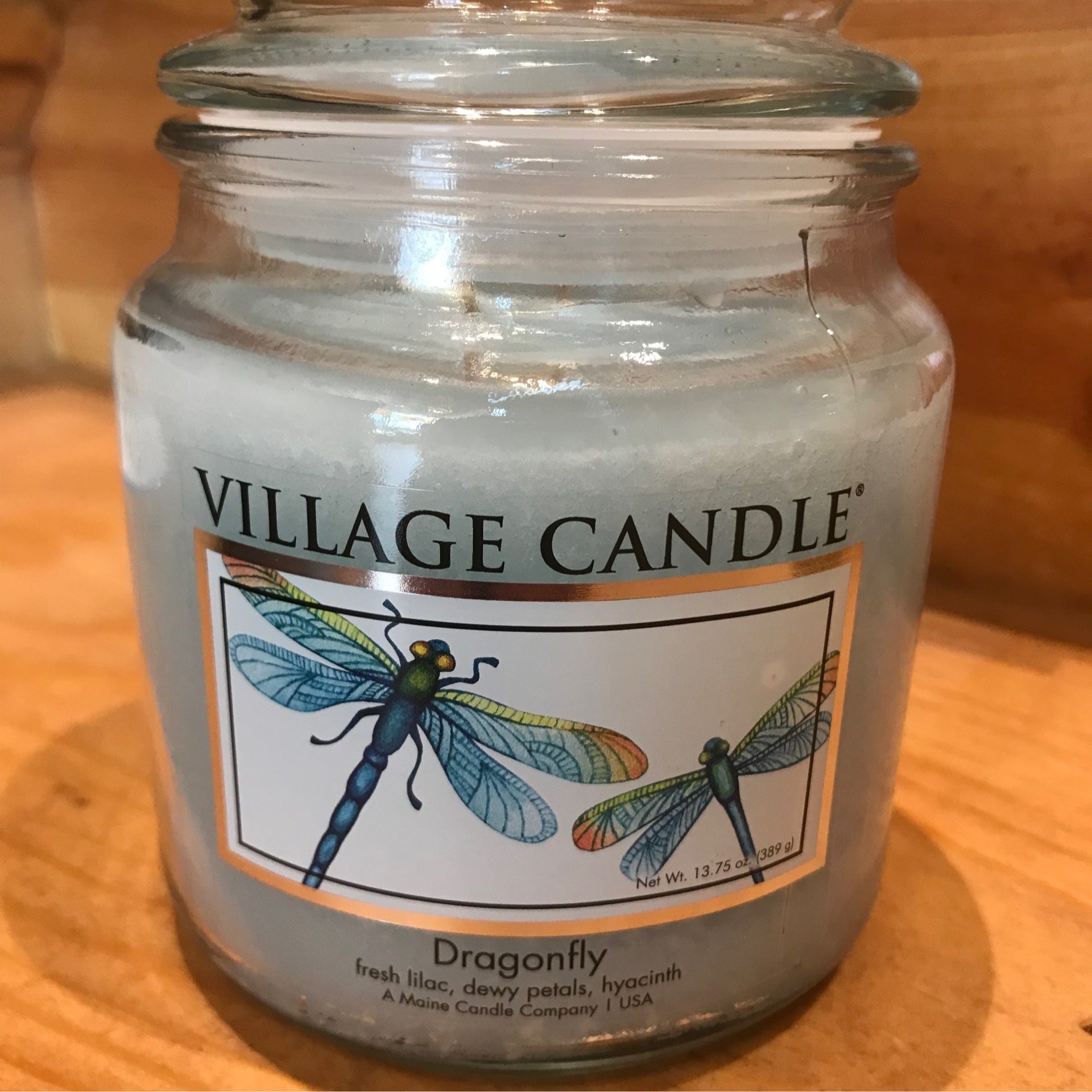 Dragonfly Candle Glass Jar by Village Candle